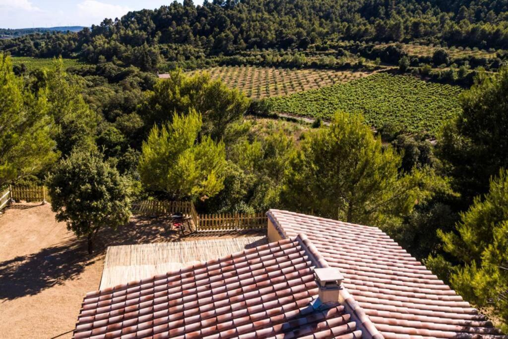 L'Arbre A Soleil Villa Aigues-Vives  Buitenkant foto