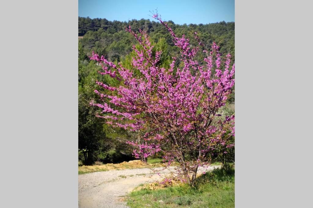 L'Arbre A Soleil Villa Aigues-Vives  Buitenkant foto