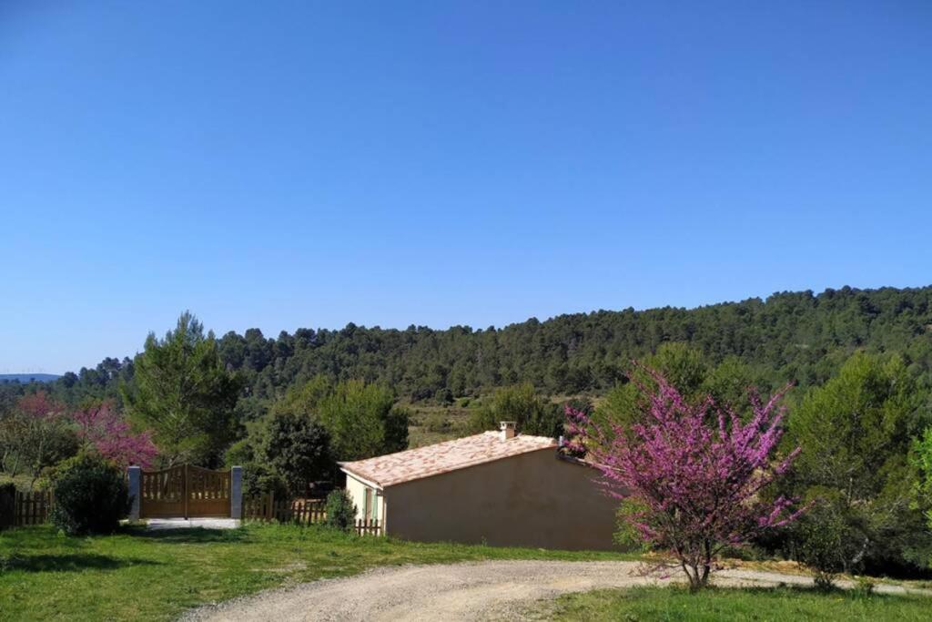 L'Arbre A Soleil Villa Aigues-Vives  Buitenkant foto