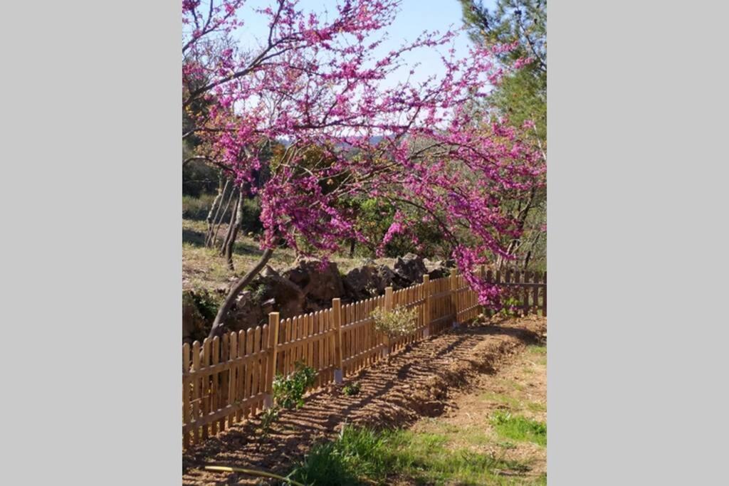 L'Arbre A Soleil Villa Aigues-Vives  Buitenkant foto